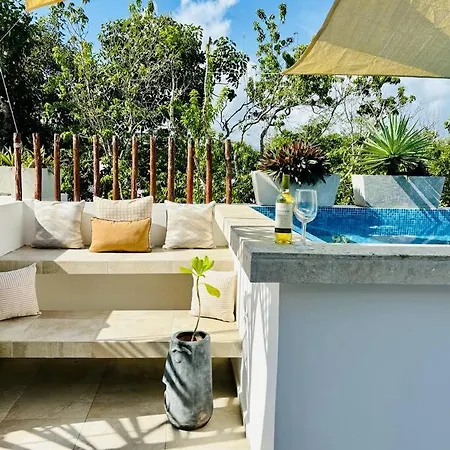 Private Rooftop Pool - Bike To Ruins Or Beach
