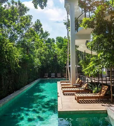 Private Rooftop Pool - Bike To Ruins Or Pousada